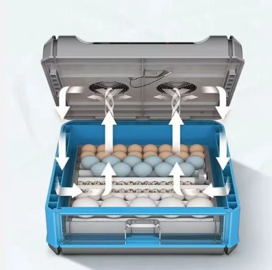500 Eggs Capacity Small-Sized Automatic Egg Incubator. thumbnail 2