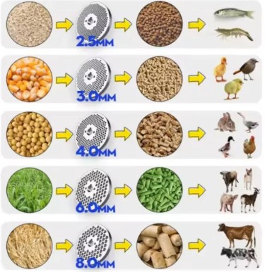 1000kgs to 2000kgs Pellet Making Machine with 20HP Motor thumbnail 2